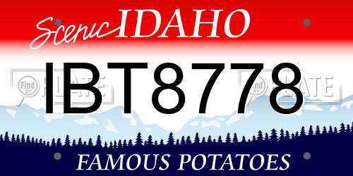 IBT8778 Idaho License Plate