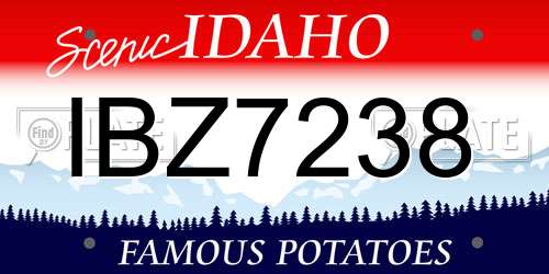 IBZ7238 Idaho License Plate