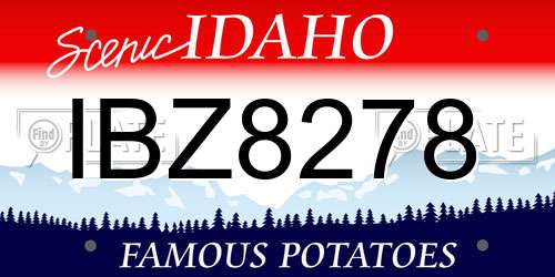 IBZ8278 Idaho License Plate