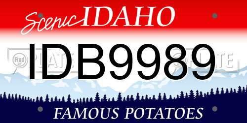 IDB9989 Idaho License Plate