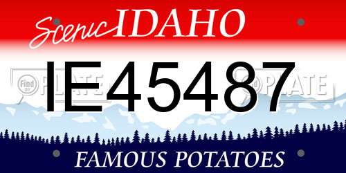 IE45487 Idaho License Plate