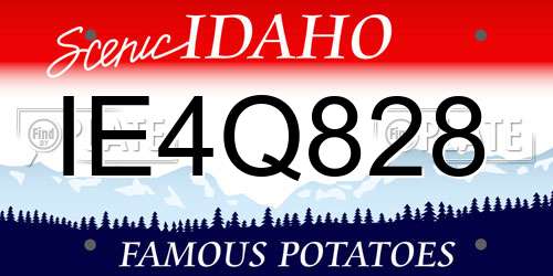 IE4Q828 Idaho License Plate