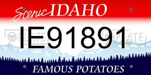 IE91891 Idaho License Plate