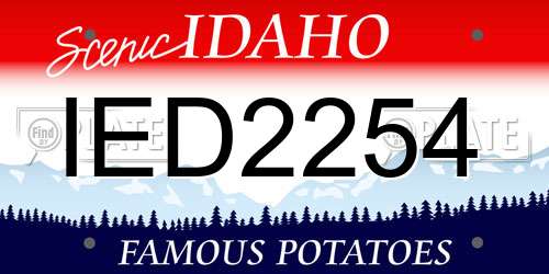 IED2254 Idaho License Plate
