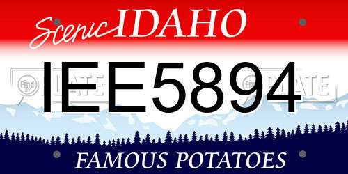 IEE5894 Idaho License Plate