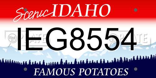 IEG8554 Idaho License Plate