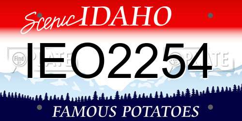IEO2254 Idaho License Plate