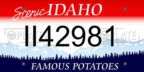 II42981 Idaho License Plate