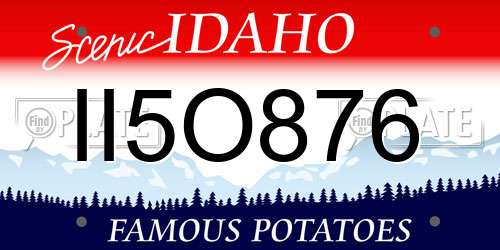 II5O876 Idaho License Plate