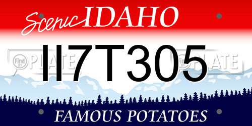 II7T305 Idaho License Plate
