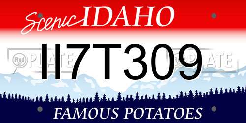 II7T309 Idaho License Plate