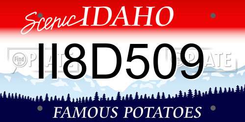 II8D509 Idaho License Plate