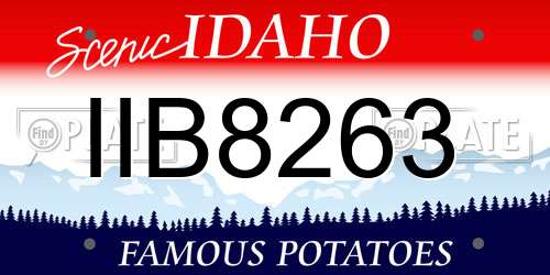 IIB8263 Idaho License Plate