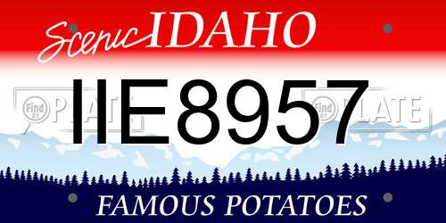 IIE8957 Idaho License Plate