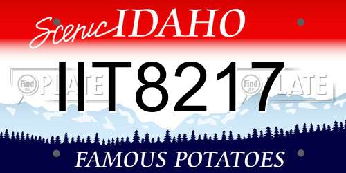 IIT8217 Idaho License Plate