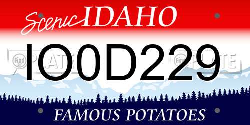 IO0D229 Idaho License Plate