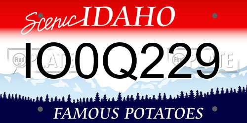 IO0Q229 Idaho License Plate