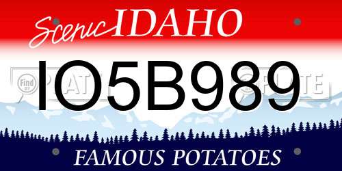 IO5B989 Idaho License Plate