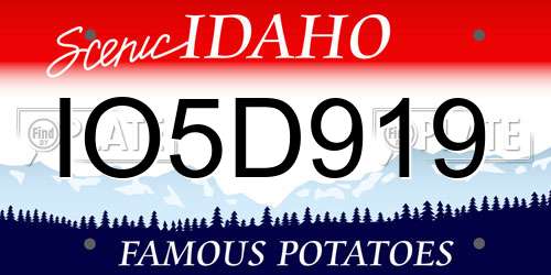 IO5D919 Idaho License Plate