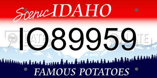 IO89959 Idaho License Plate