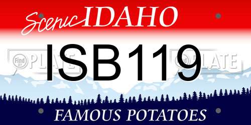 ISB119 Idaho License Plate
