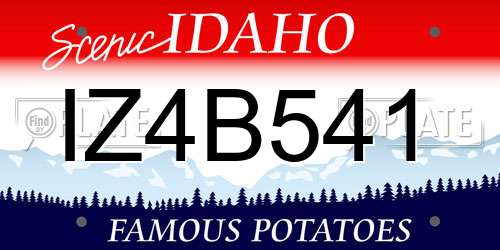IZ4B541 Idaho License Plate