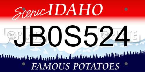 JB0S524 Idaho License Plate