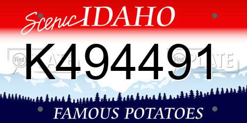 K494491 Idaho License Plate