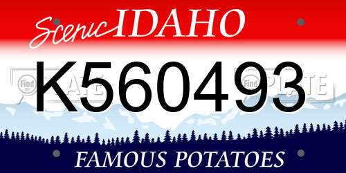 K560493 Idaho License Plate