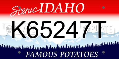 K65247T Idaho License Plate