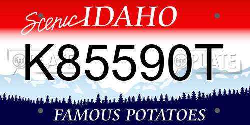 K85590T Idaho License Plate