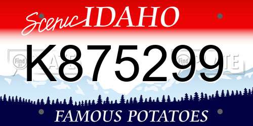 K875299 Idaho License Plate