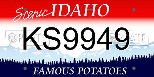 KS9949 Idaho License Plate