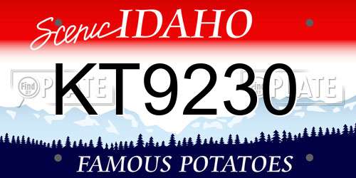 KT9230 Idaho License Plate