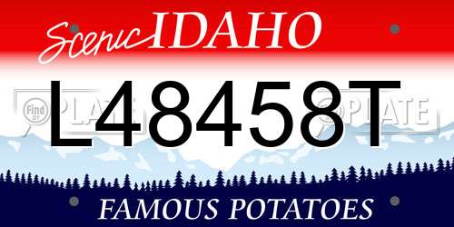 L48458T Idaho License Plate