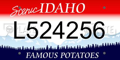 L524256 Idaho License Plate