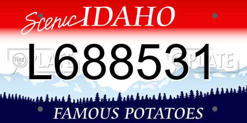 L688531 Idaho License Plate