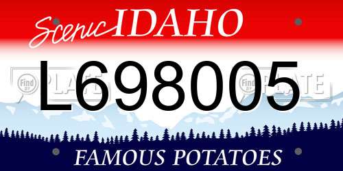 L698005 Idaho License Plate