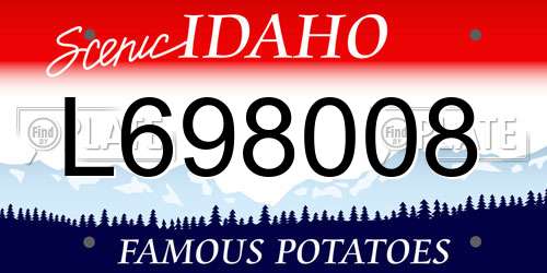 L698008 Idaho License Plate