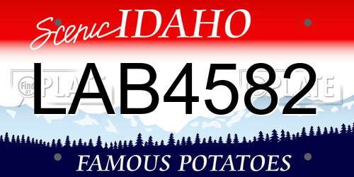 LAB4582 Idaho License Plate