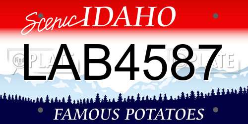 LAB4587 Idaho License Plate