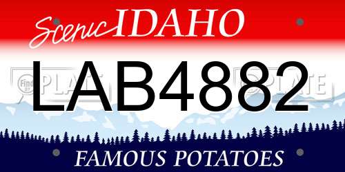 LAB4882 Idaho License Plate