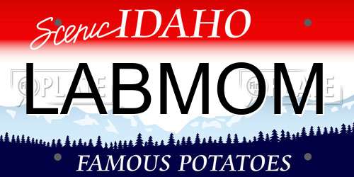 LABMOM Idaho License Plate