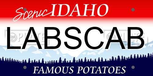 LABSCAB Idaho License Plate