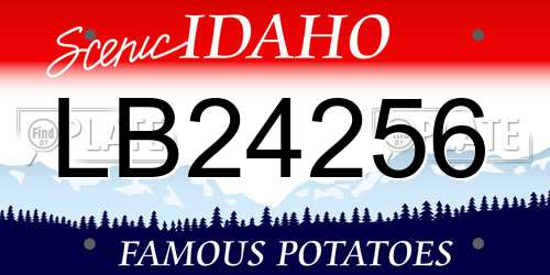 LB24256 Idaho License Plate