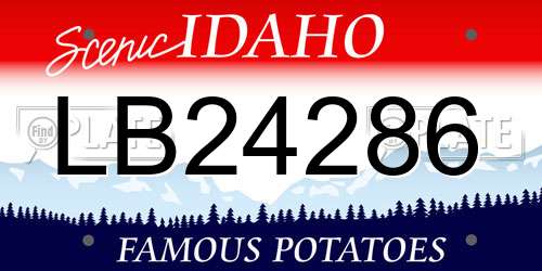 LB24286 Idaho License Plate