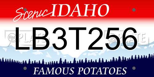 LB3T256 Idaho License Plate