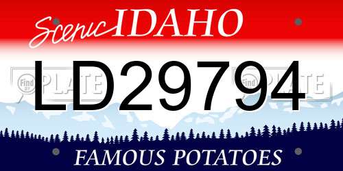 LD29794 Idaho License Plate