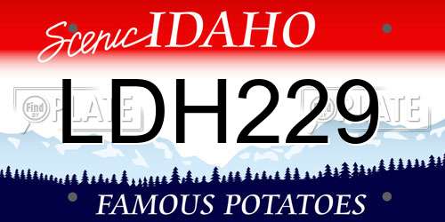 LDH229 Idaho License Plate
