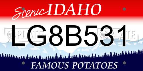 LG8B531 Idaho License Plate